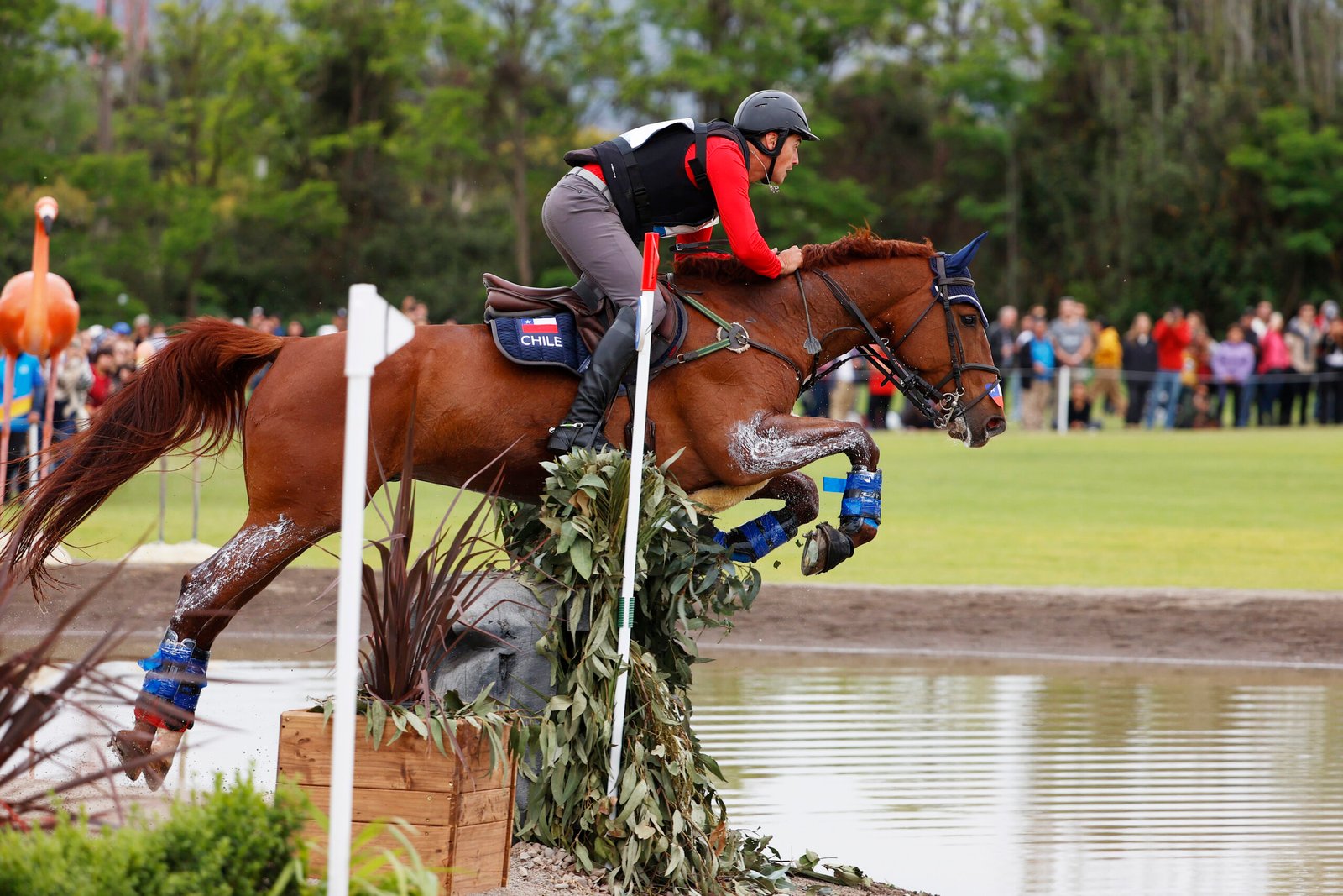 dia 9, campo traviesa individual / day 9, individual cross country