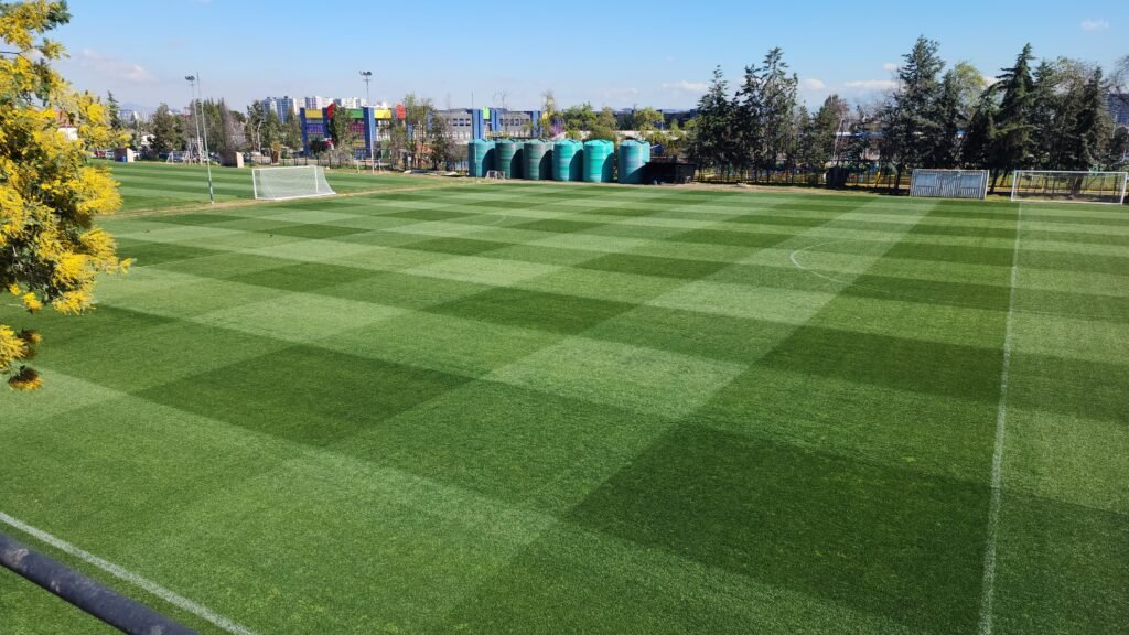 imagen de whatsapp 2024 08 27 a las 13.57.04 ff139551 (1)